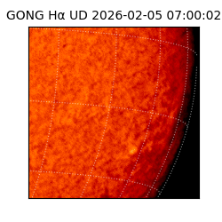 gong - 2026-02-05T07:00:02