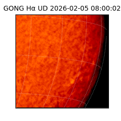 gong - 2026-02-05T08:00:02