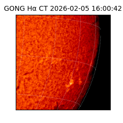 gong - 2026-02-05T16:00:42