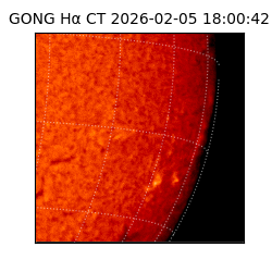 gong - 2026-02-05T18:00:42