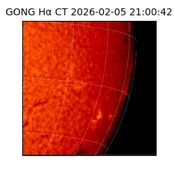 gong - 2026-02-05T21:00:42