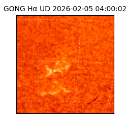 gong - 2026-02-05T04:00:02