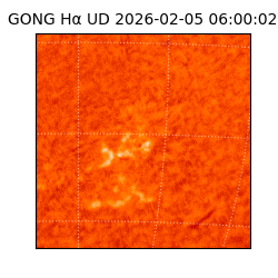 gong - 2026-02-05T06:00:02