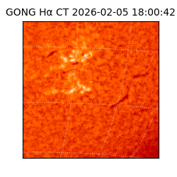 gong - 2026-02-05T18:00:42
