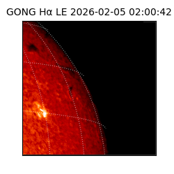 gong - 2026-02-05T02:00:42