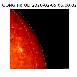 gong - 2026-02-05T05:00:02