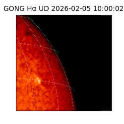 gong - 2026-02-05T10:00:02
