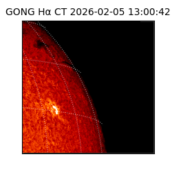 gong - 2026-02-05T13:00:42