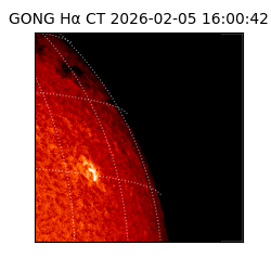 gong - 2026-02-05T16:00:42