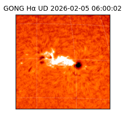 gong - 2026-02-05T06:00:02
