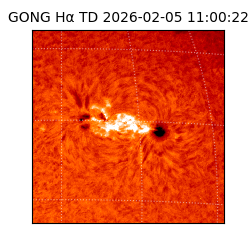 gong - 2026-02-05T11:00:22