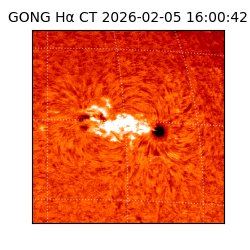 gong - 2026-02-05T16:00:42