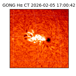 gong - 2026-02-05T17:00:42
