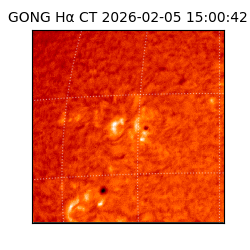 gong - 2026-02-05T15:00:42