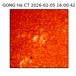 gong - 2026-02-05T16:00:42