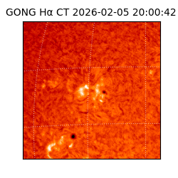 gong - 2026-02-05T20:00:42