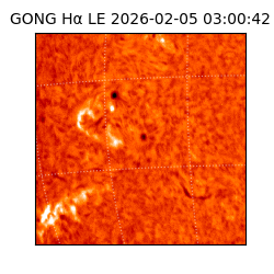 gong - 2026-02-05T03:00:42