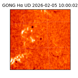 gong - 2026-02-05T10:00:02