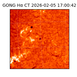 gong - 2026-02-05T17:00:42