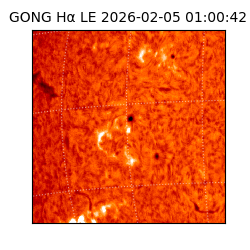 gong - 2026-02-05T01:00:42
