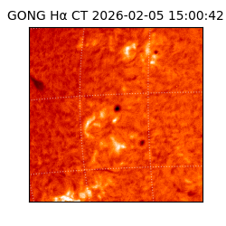 gong - 2026-02-05T15:00:42