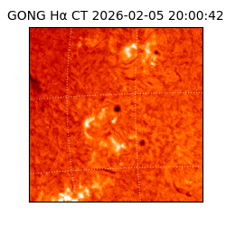 gong - 2026-02-05T20:00:42