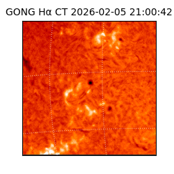 gong - 2026-02-05T21:00:42