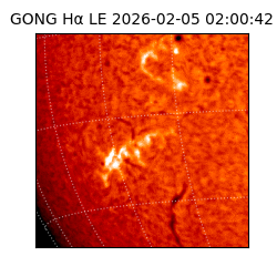 gong - 2026-02-05T02:00:42