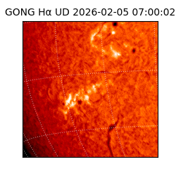 gong - 2026-02-05T07:00:02