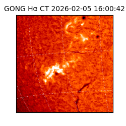 gong - 2026-02-05T16:00:42