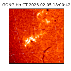 gong - 2026-02-05T18:00:42