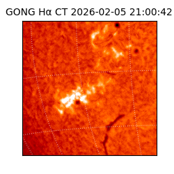 gong - 2026-02-05T21:00:42