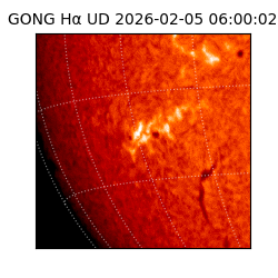 gong - 2026-02-05T06:00:02