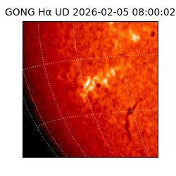 gong - 2026-02-05T08:00:02