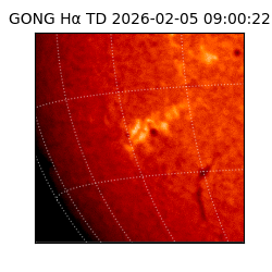 gong - 2026-02-05T09:00:22