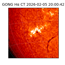gong - 2026-02-05T20:00:42