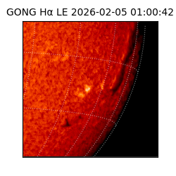 gong - 2026-02-05T01:00:42