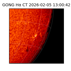 gong - 2026-02-05T13:00:42
