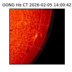 gong - 2026-02-05T14:00:42