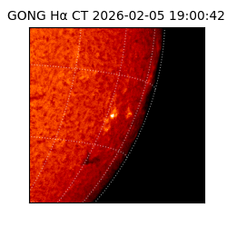 gong - 2026-02-05T19:00:42
