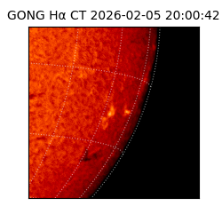 gong - 2026-02-05T20:00:42
