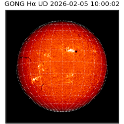 gong - 2026-02-05T10:00:02