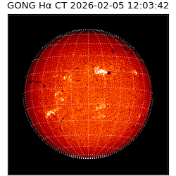 gong - 2026-02-05T12:03:42