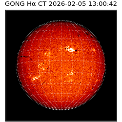 gong - 2026-02-05T13:00:42