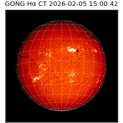 gong - 2026-02-05T15:00:42