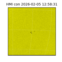 shmi - 2026-02-05T12:58:31