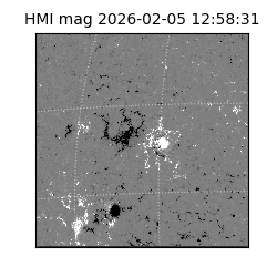 shmi - 2026-02-05T12:58:31
