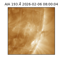 saia - 2026-02-06T08:00:04.843000