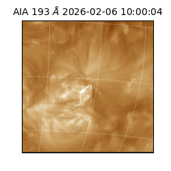 saia - 2026-02-06T10:00:04.835000