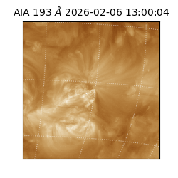 saia - 2026-02-06T13:00:04.843000